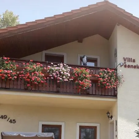 Psenek Benessere Bánka